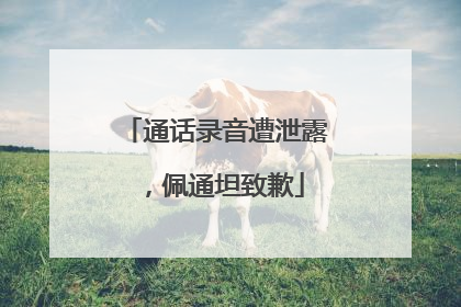 通话录音遭泄露，佩通坦致歉
