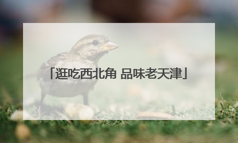 逛吃西北角 品味老天津
