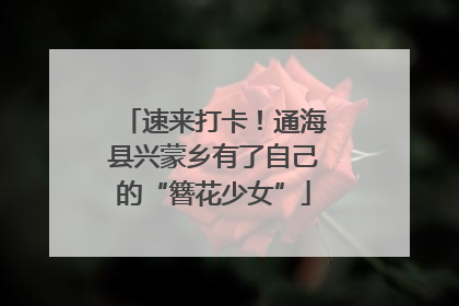 速来打卡！通海县兴蒙乡有了自己的“簪花少女”