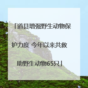 道县增强野生动物保护力度 今年以来共救助野生动物65只
