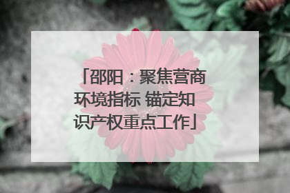 邵阳：聚焦营商环境指标 锚定知识产权重点工作