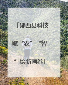 郧西县科技赋“农”“智”绘新画卷
