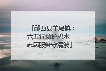 郧西县羊尾镇：六五行动护碧水 志愿服务守清波