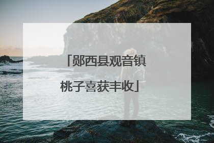 郧西县观音镇桃子喜获丰收