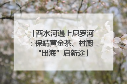 酉水河遇上尼罗河：保靖黄金茶、村厨“出海”启新途