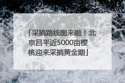 采摘路线图来啦！北京昌平近5000亩樱桃迎来采摘黄金期
