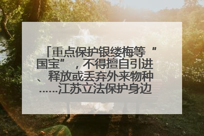 重点保护银缕梅等“国宝”，不得擅自引进、释放或丢弃外来物种……江苏立法保护身边的生物“朋友圈”