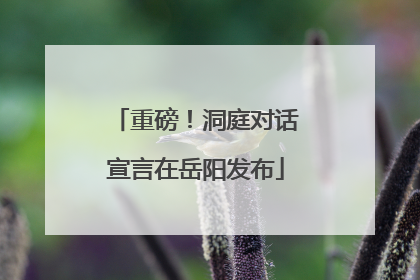 重磅！洞庭对话宣言在岳阳发布