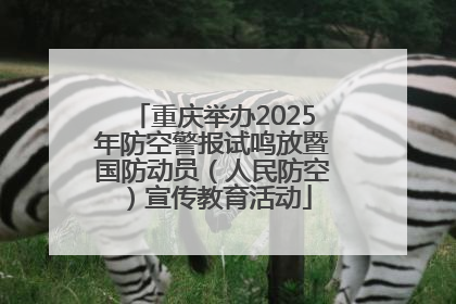 重庆举办2025年防空警报试鸣放暨国防动员（人民防空）宣传教育活动