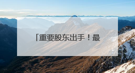 重要股东出手！最高增持超29亿元