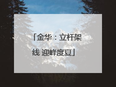 金华：立杆架线 迎峰度夏