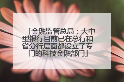 金融监管总局：大中型银行目前已在总行和省分行层面都设立了专门的科技金融部门