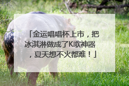 金运唱唱杯上市，把冰淇淋做成了K歌神器，夏天想不火都难！