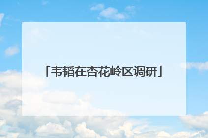 韦韬在杏花岭区调研