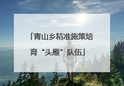 青山乡精准施策培育“头雁”队伍