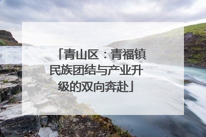 青山区：青福镇民族团结与产业升级的双向奔赴