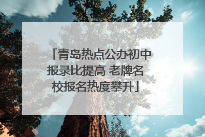 青岛热点公办初中报录比提高 老牌名校报名热度攀升