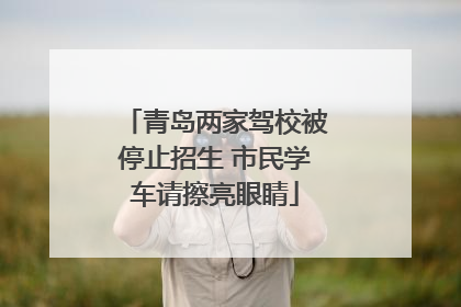 青岛两家驾校被停止招生 市民学车请擦亮眼睛