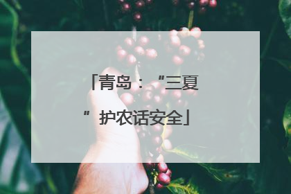 青岛：“三夏”护农话安全