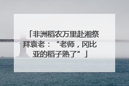 非洲稻农万里赴湘祭拜袁老：“老师，冈比亚的稻子熟了”