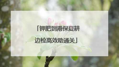 钾肥到港保夏耕 边检高效助通关