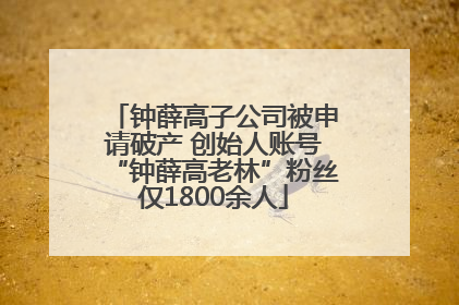 钟薛高子公司被申请破产 创始人账号“钟薛高老林”粉丝仅1800余人