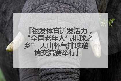 银发体育迸发活力，“全国老年人气排球之乡” 天山杯气排球邀请交流赛举行