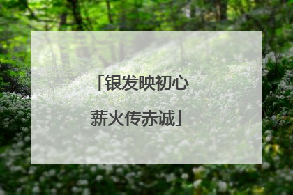 银发映初心 薪火传赤诚