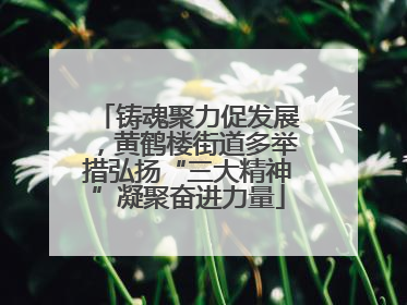 铸魂聚力促发展，黄鹤楼街道多举措弘扬“三大精神”凝聚奋进力量