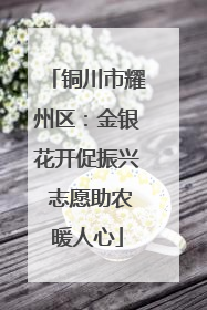 铜川市耀州区：金银花开促振兴 志愿助农暖人心