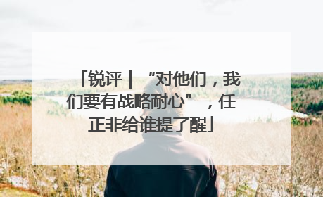 锐评｜“对他们，我们要有战略耐心”，任正非给谁提了醒