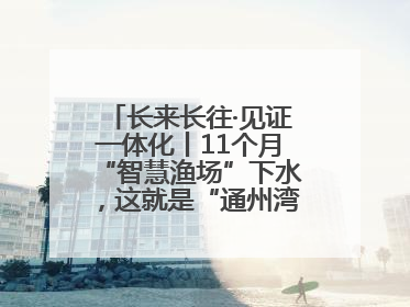 长来长往·见证一体化丨11个月“智慧渔场”下水，这就是“通州湾速度”！