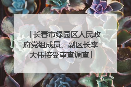 长春市绿园区人民政府党组成员、副区长李大伟接受审查调查