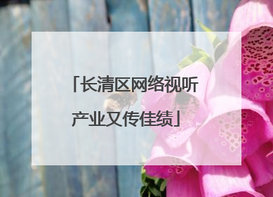 长清区网络视听产业又传佳绩