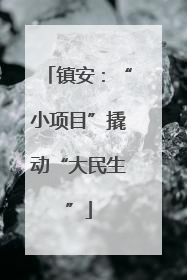 镇安：“小项目”撬动“大民生”