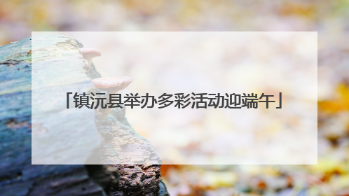镇沅县举办多彩活动迎端午