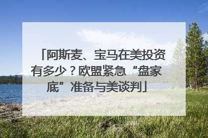 阿斯麦、宝马在美投资有多少？欧盟紧急“盘家底”准备与美谈判