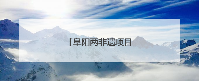 阜阳两非遗项目亮相国际文化节