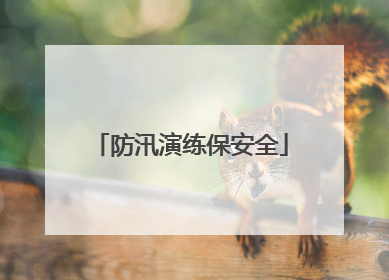 防汛演练保安全