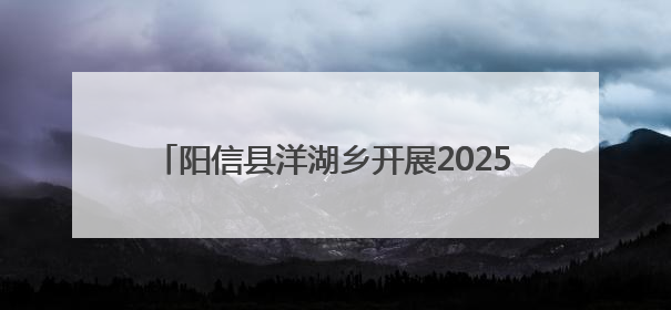阳信县洋湖乡开展2025年国际禁毒日主题宣传活动