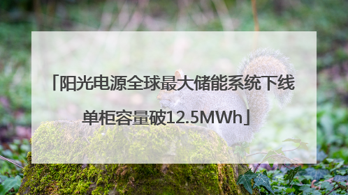 阳光电源全球最大储能系统下线 单柜容量破12.5MWh