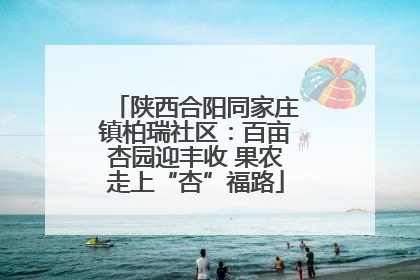 陕西合阳同家庄镇柏瑞社区：百亩杏园迎丰收 果农走上“杏”福路