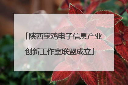 陕西宝鸡电子信息产业创新工作室联盟成立