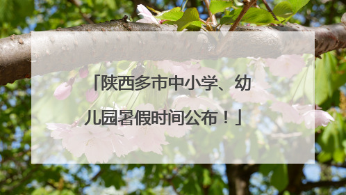 陕西多市中小学、幼儿园暑假时间公布！