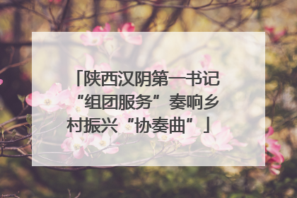 陕西汉阴第一书记“组团服务”奏响乡村振兴“协奏曲”