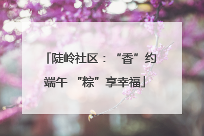 陡岭社区：“香”约端午 “粽”享幸福