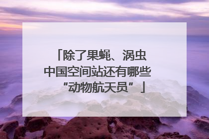 除了果蝇、涡虫 中国空间站还有哪些“动物航天员”