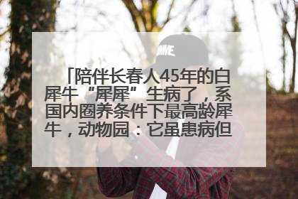 陪伴长春人45年的白犀牛“犀犀”生病了，系国内圈养条件下最高龄犀牛，动物园：它虽患病但未处于弥留之际