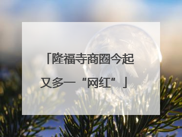 隆福寺商圈今起又多一“网红”