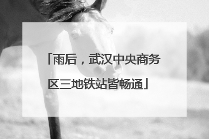 雨后，武汉中央商务区三地铁站皆畅通